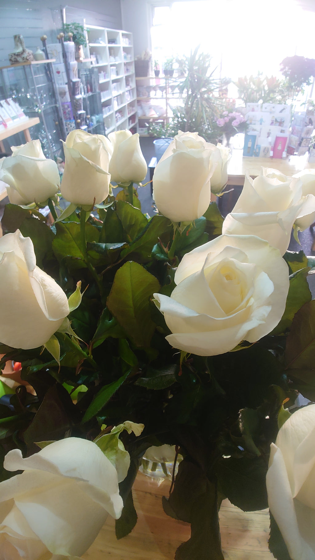 Roses 50cm, with greenery
