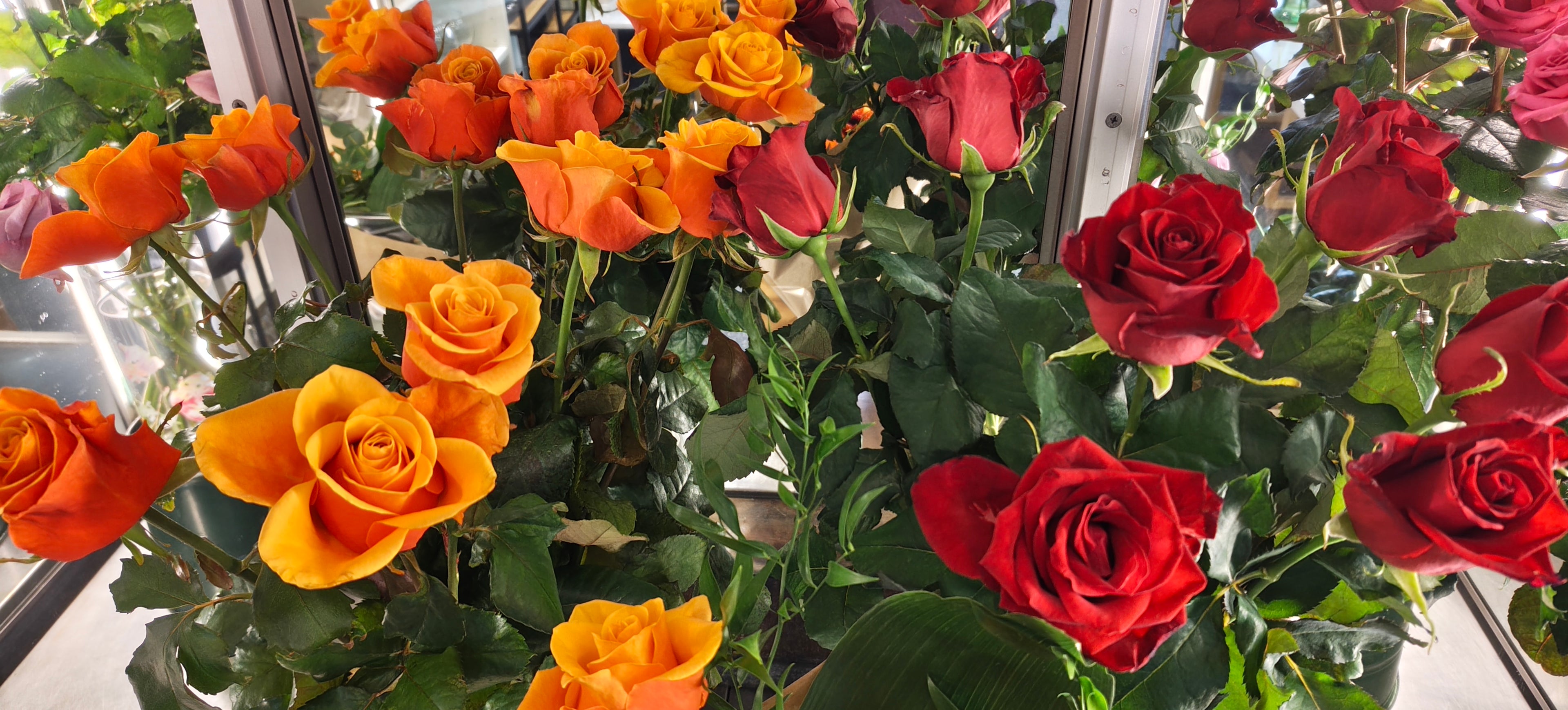 Roses 60cm, with greenery