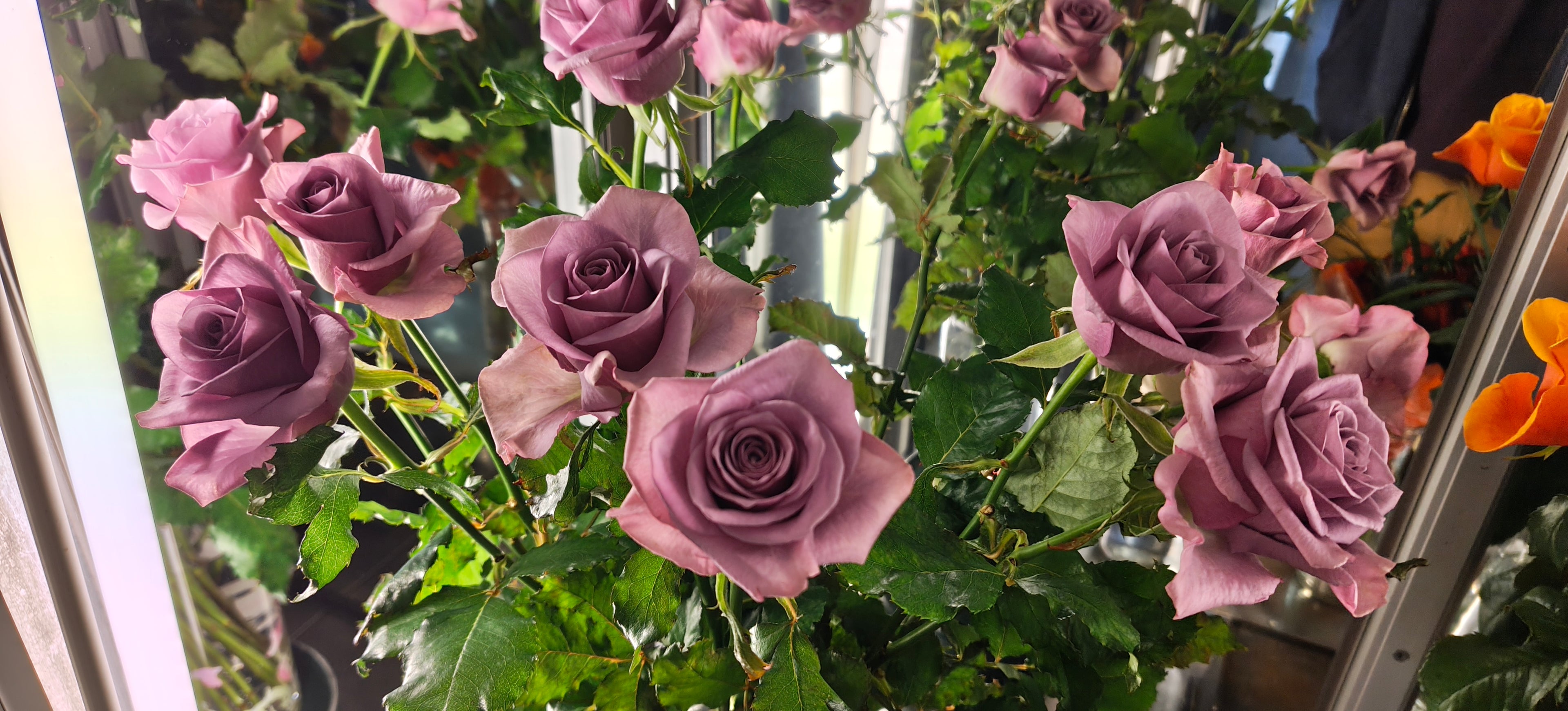 Roses 60cm, with greenery